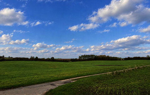 Landwirtschaftliche Flächen in...